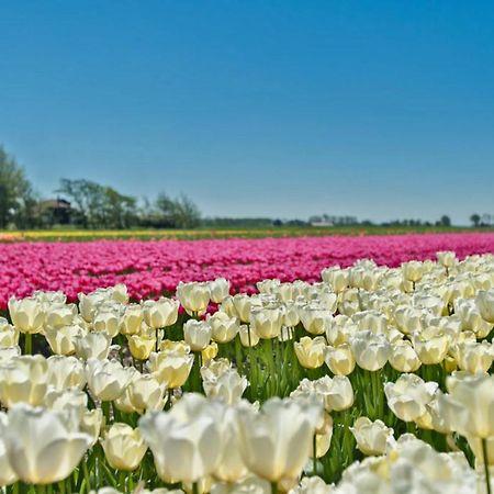 Hotelhuisje Warmenhuizen #B Экстерьер фото